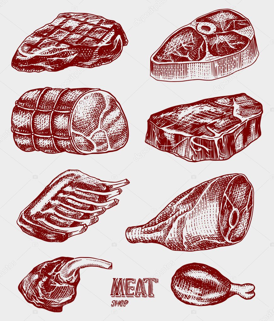 Beef meat, pork steak, chicken leg, meatloaf, bacon and ribs. Barbecue food in vintage style. Templates for restaurant menu, emblems or badges. Hand drawn sketch.