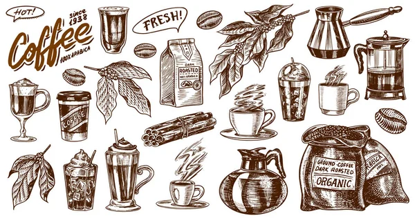 Café de estilo vintage. Una bolsa de granos, hojas de cacao, palitos de canela, una taza y una tetera, una cafetera y una bolsa de leche, inscripción caligráfica. Dibujo retro grabado a mano para etiquetas . — Vector de stock