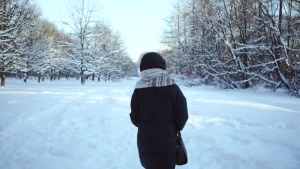 Mujer de atrás con una chaqueta cálida. Una chica está caminando en la nieve. Paisaje nevado de invierno. Deriva de nieve en el bosque. Año Nuevo. Clima frío del norte. Hermoso fondo para letras o texto . — Vídeos de Stock