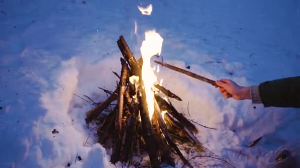 Zimní Bonfire za grilování v lese. Držte se v ruce u táborního ohně a odletující jiskry na přírodu. Zavřít. — Stock video