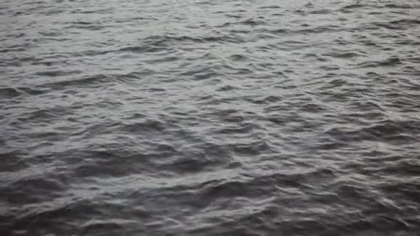Mar frio em cores cinzentas. Tempo nublado. Pequenas ondas fundo close-up — Vídeo de Stock