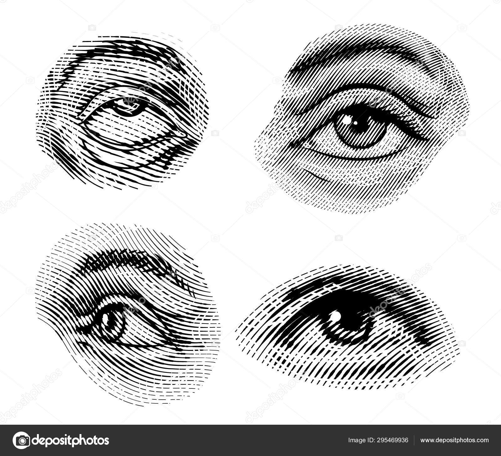 Os olhos humanos desviam o olhar em estilo vintage. Aparência feminina e  sobrancelhas. Sistema Visual, Componentes de Órgãos Sensoriais. Exercício  saudável. Desenho à mão esboço gravado assunto fisiologia ou anatomia .  Vetor, image size:1600x1457