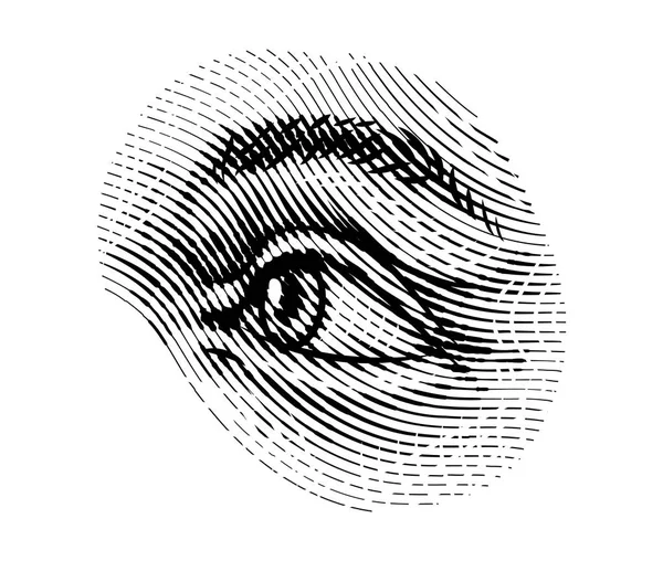 Human eyes eye looks away in vintage style. Female look and eyebrows. Visual System, Sensory Organ Components. Healthy exercise. Hand drawn engraved sketch subject physiology or anatomy. — Stock Vector