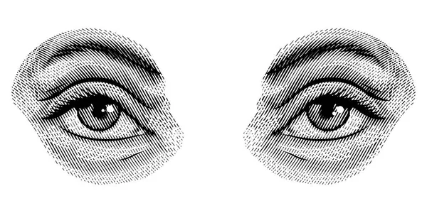 ヴィンテージスタイルの人間の目。女性の表情と眉毛。視覚系、感覚器官成分。手描きの彫刻スケッチ被験者生理学または解剖学. — ストックベクタ