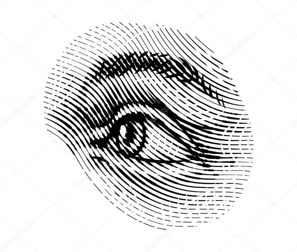 Human eyes eye looks away in vintage style. Female look and eyebrows. Visual System, Sensory Organ Components. Healthy exercise. Hand drawn engraved sketch subject physiology or anatomy.