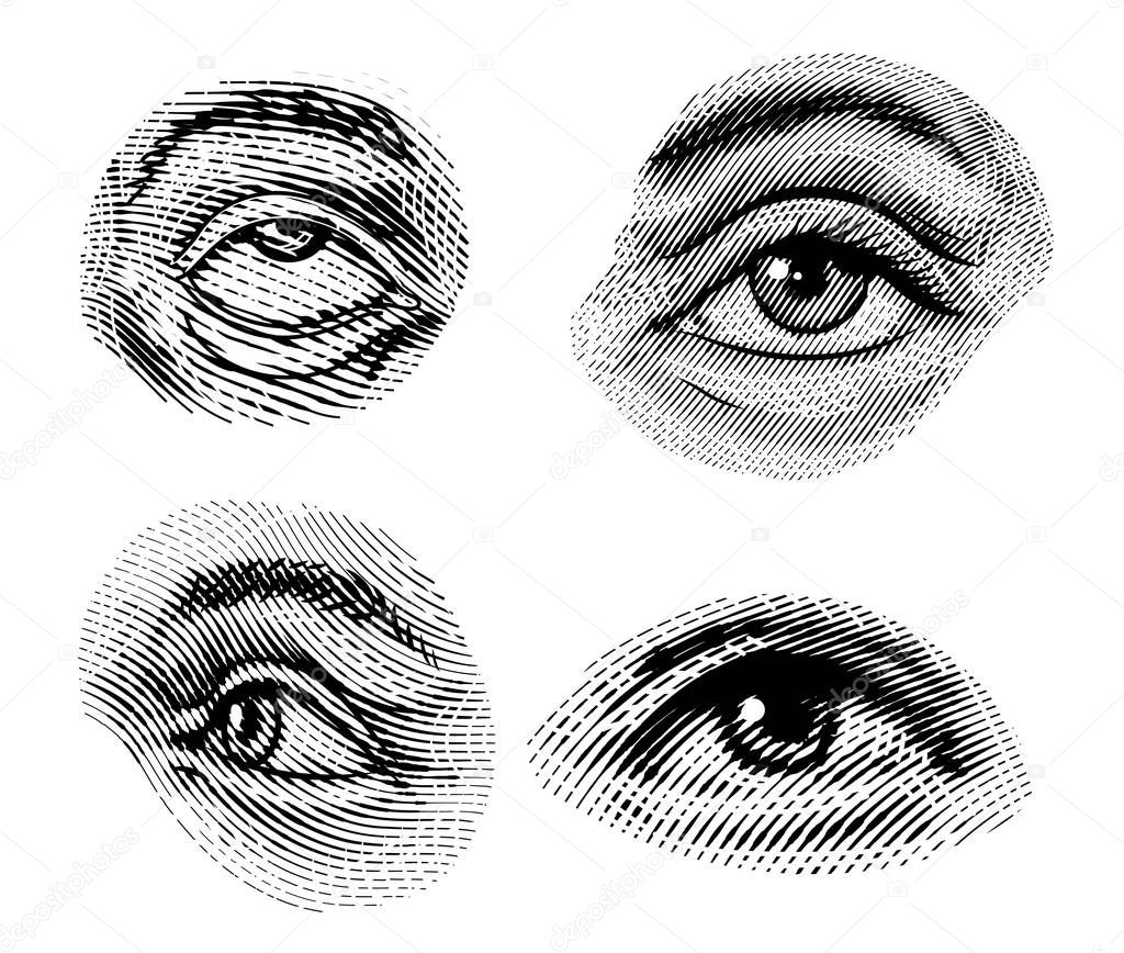 Human eyes looks away in vintage style. Female look and eyebrows. Visual System, Sensory Organ Components. Healthy exercise. Hand drawn engraved sketch subject physiology or anatomy.