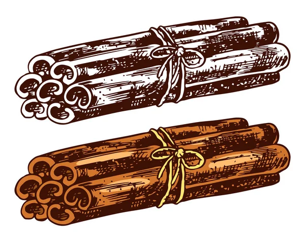 Cinnamon sticks isolated on transparent background. Hand drawn engraved vintage sketch for labels. Vector illustration. — Stock Vector