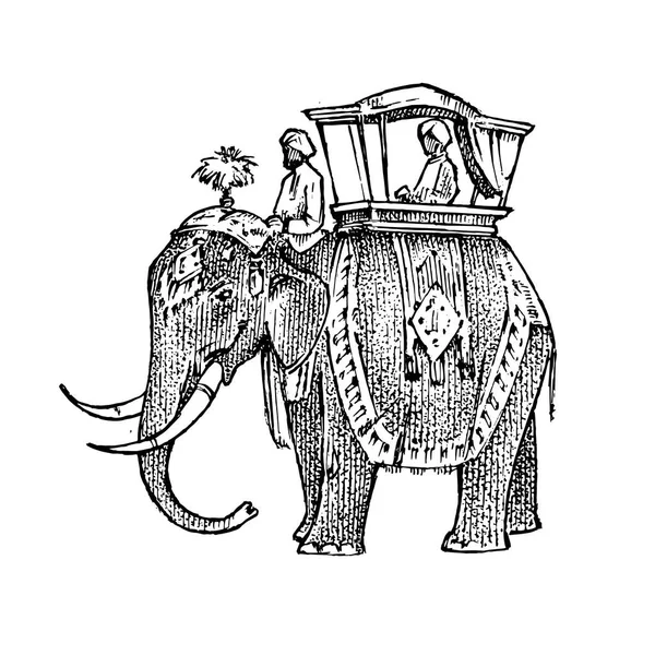 Définir la culture indienne. Éléphant et temple, une femme en tenue nationale et l'inscription double exposition. Dessiné à la main, gravé dans un style vintage . — Image vectorielle