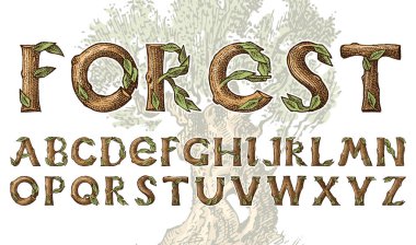 Orman posterleri için antika ahşap Font. Dekoratif antik alfabe. Vintage yazı tipi. Çift pozlama Ağaçlar ve dalları. Kullanılabilir ve katmanlı. Afişler için el çizilmiş Vektör modern harfler.