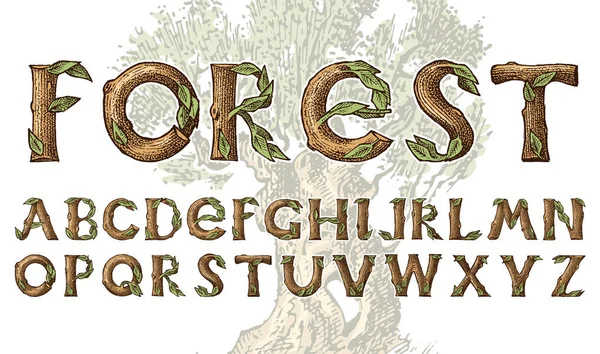 Античный деревянный шрифт для лесных плакатов. Декоративный древний алфавит. Винтажный шрифт. Двойное воздействие деревьев и ветвей. Стол и накрытый стол. Векторные современные буквы для баннеров . — стоковый вектор