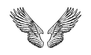 Vintage tarzda melek kanadı. Dövme ve amblemler, t-shirt ve logo için şablon. Çıkartmalar için amblem. Oyulmuş çizim. Vektör çizimi.