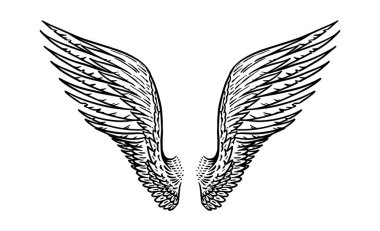 Vintage tarzda melek kanadı. Dövme ve amblemler, t-shirt ve logo için şablon. Çıkartmalar için amblem. Oyulmuş çizim. Vektör çizimi.