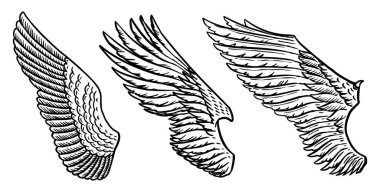 Vintage tarzıAngel kanatları seti. Dövme ve amblemler, t-shirt ve logo için şablon. Çıkartmalar için amblem. Oyulmuş çizim. Vektör çizimi.