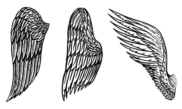 Set of Angel wings in vintage style. Template for tattoo and emblems, t-shirts and logo. Emblem for stickers. Engraved sketch. Vector illustration. — Stock Vector