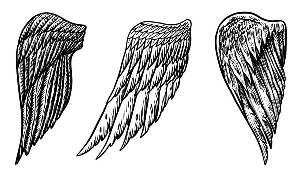 Ensemble d'ailes d'ange dans un style vintage. Modèle pour tatouage et emblèmes, t-shirts et logo. Emblème pour autocollants. Croquis gravé. Illustration vectorielle . — Image vectorielle