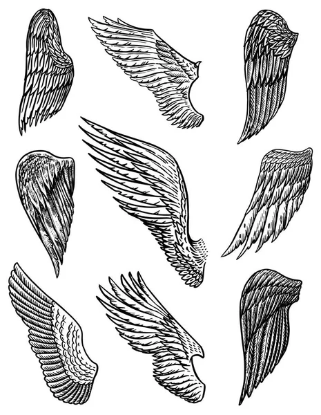 Ensemble d'ailes d'ange dans un style vintage. Modèle pour tatouage et emblèmes, t-shirts et logo. Emblème pour autocollants. Croquis gravé. Illustration vectorielle . — Image vectorielle