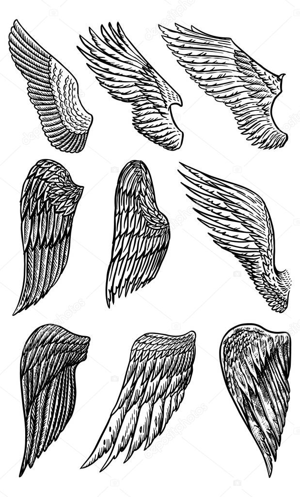 Set of Angel wings in vintage style. Template for tattoo and emblems, t-shirts and logo. Emblem for stickers. Engraved sketch. Vector illustration