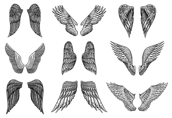 Ensemble d'ailes d'ange dans un style vintage. Modèle pour tatouage et emblèmes, t-shirts et logo. Emblème pour autocollants. Croquis gravé. Illustration vectorielle . — Image vectorielle