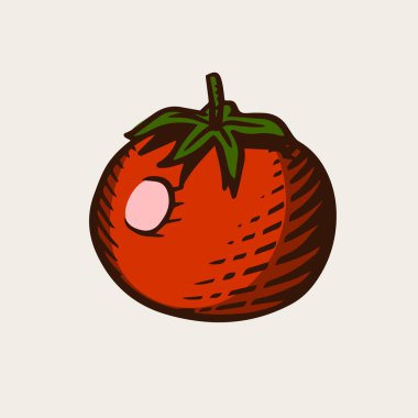 Barbekü ızgarası için klasik tarzda domates. Elle çizilmiş. Barbekü partisi için sebze. Menü veya etiketler için vektör illüstrasyonu.