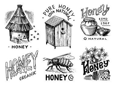 Bal ve arılar hazır. Bal petekleri, kovan ve arı kovanları. Tipografi, dükkan veya tabela için klasik logo. Tişörtler için rozet. El çizimi eskiz. Vektör illüstrasyonu.