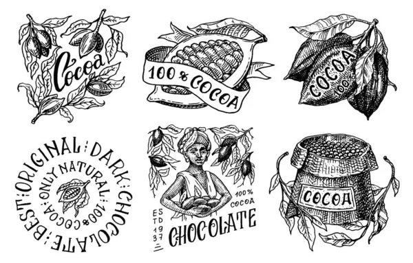 Kakaobohnen und Schokolade. Körner und Sack. Die Frau erntet. Vintage Badge oder Logo Set für T-Shirts, Typografie, Shop oder Schilder. Handgezeichnete gestochene Skizze. Vektorillustration. — Stockvektor