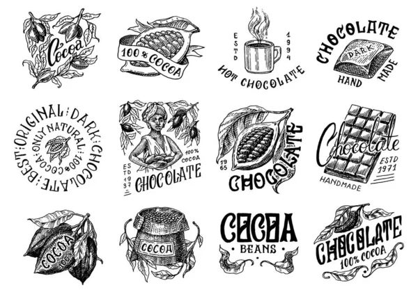 Kakaobohnen und Schokolade. Frau und Becher Trinken. Vintage Badge oder Logo Set für T-Shirts, Typografie, Shop oder Schilder. Handgezeichnete gestochene Skizze. Vektorillustration. — Stockvektor