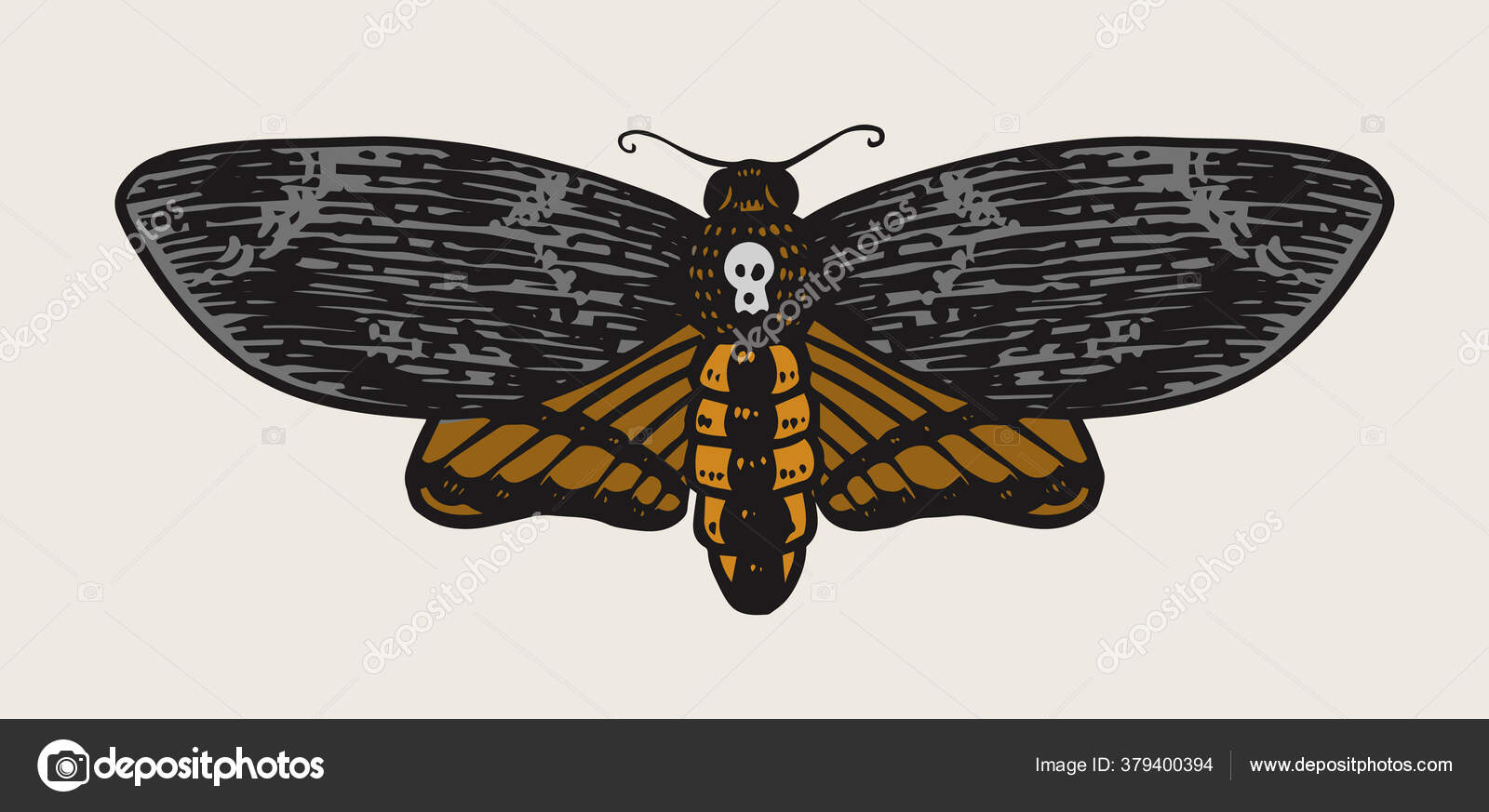 Moth or butterfly. Vintage Retro night-fly or mole. Hand drawn engraved monochrome sketch for labels or posters, tattoo or t-shirts. Mystical or alchemy astrology symbol. Stock Vector Image by ©ArthurBalitskiy #379400394 Moth or butterfly. Vintage Retro night-fly or mole. Hand drawn engraved monochrome sketch for labels or posters, tattoo or t-shirts. Mystical or alchemy astrology symbol. Stock Vector Image by ©ArthurBalitskiy #379400394