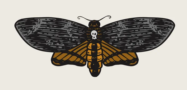 Moth eller fjäril. Vintage Retro nattfluga eller mullvad. Handritad monokrom skiss för etiketter eller affischer, tatueringar eller t-shirts. Mystisk eller alkemisk astrologi symbol. — Stock vektor