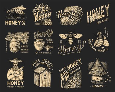 Bal ve arılar hazır. Arı yetiştiricisi, bal peteği, kovan ve arı kovanı. Tipografi, dükkan veya tabela için klasik logo. Tişörtler için rozet. El çizimi eskiz. Vektör illüstrasyonu.