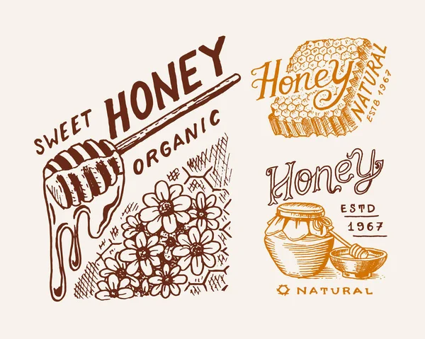 Mel e favos de mel, rótulos de abelhas. Logotipo vintage para tipografia, loja ou placas. Distintivo para t-shirts. Mão desenhada gravar esboço. Ilustração vetorial . — Vetor de Stock