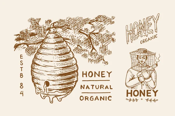 Miel y abejas. Hombre apicultor y panales. Logotipo vintage para tipografía, tienda o letreros. Insignia para camisetas. Dibujado a mano grabar boceto. Ilustración vectorial . — Archivo Imágenes Vectoriales