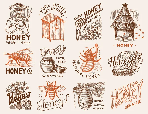 Honig und Bienen eingestellt. Imker und Bienenwaben und Bienenstock und Bienenstock. Vintage-Logo für Typografie, Shop oder Schilder. Abzeichen für T-Shirts. Handgezeichnete Kupferstichskizze. Vektorillustration. — Stockvektor