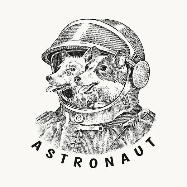 Dwa psy husky astronauci w skafandrze kosmicznym. Pierwsi kosmonauci w kosmosie. Etykieta postaci Fashion Animal. Ręcznie rysowany szkic. Grawerowana ilustracja wektorowa na etykiecie, logo i koszulkach lub tatuażu. — Wektor stockowy