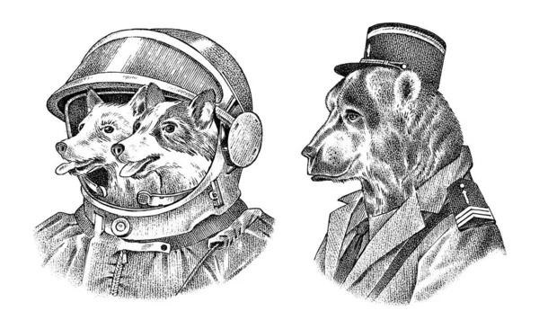 Hundastronauter i rymddräkt. Bär i militär stil. Mode Djur karaktär etikett. Handritad skiss. Vektor graverad illustration för etikett, logotyp och T-shirts eller tatuering. — Stock vektor