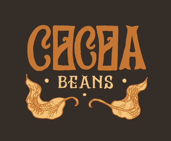 Hojas de cacao. Insignia o logotipo vintage para camisetas, tipografía, tienda o letreros. Dibujo grabado a mano. Ilustración vectorial. — Vector de stock