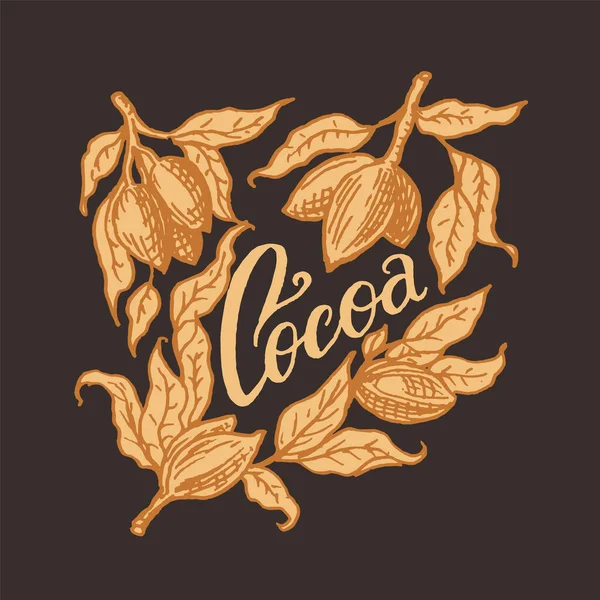 Folhas de cacau. Emblema ou logotipo vintage para camisetas, tipografia, loja ou placas. Desenho à mão esboço gravado. Ilustração vetorial. — Vetor de Stock