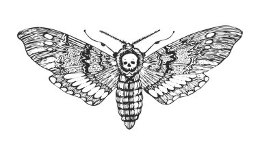 Kelebek ya da yabani güveler. Ölüm Şahin Güvesi. Mistik bir sembol ya da özgürlüğün böcekbilimsel sembolü. Düğün kartı ya da logo için el yazması bir eskiz. Vektör illüstrasyon Eklembacaklı hayvanlar.