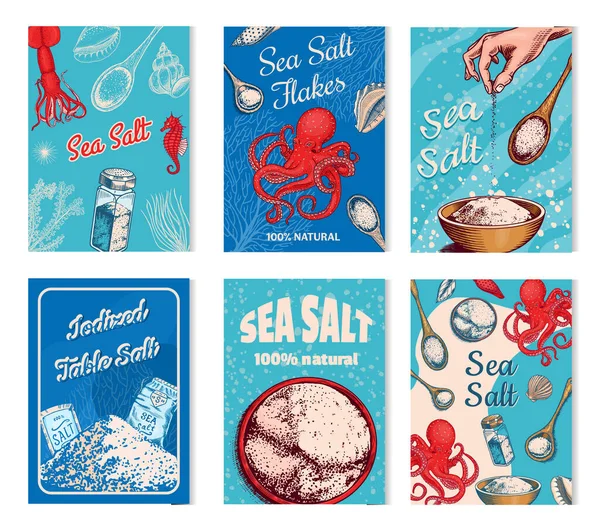 Sea salt posters and banners. Vintage labels. Octopus and squid, wooden spoons, powdered powder, spice in the hand. Engraved hand drawn sketch background. — Stock Vector