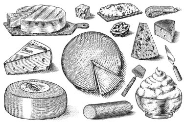 Peynir takımı. Pazar ve bakkal için Mascarpone Bleu de Gex Edam Camembert Mozzarella dilimleri. Peynir tahtası ve taze organik süt. Etiket, poster veya menü için vektör oymalı el çizimi.