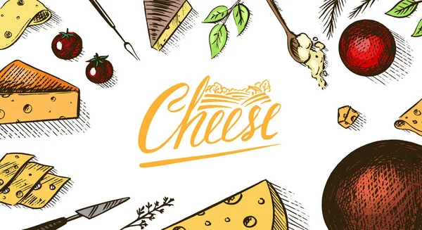 奶酪海报或横幅。Edam和Mozzarella的切片，供市场或杂货店用。乳酪板和新鲜有机牛奶背景.矢量雕刻手绘草图，用于标签或菜单. — 图库矢量图片