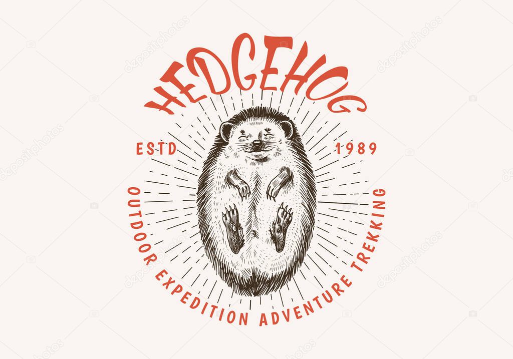 Hedgehog badge. Spiny forest wild animal label or logo. Vector Engraved hand drawn Vintage old sketch for stamp, t-shirt or typography. Vector illustration