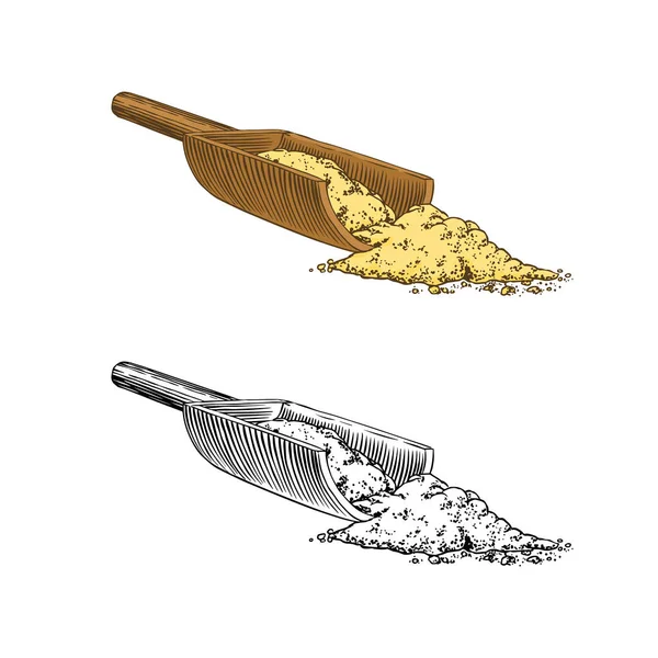 生姜の根のスパイス、刻んだ根茎、新鮮な植物成分。ベクトル手描きのスケッチを刻印。材料セットの一部。デトックススパイス. — ストックベクタ