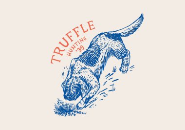 Mantar mantarı bulmak için Lagotto Romagnolo köpeği. Oymalı el çizimi, klasik bir eskiz. Ahşap kesim. Vektör illüstrasyonu.