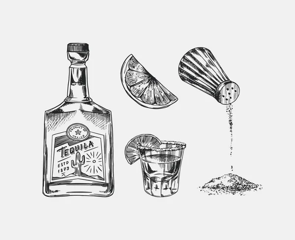 Bottle of tequila, salt and shot with lime and label for retro poster or banner. Mexican drink. Engraved hand drawn vintage sketch. Woodcut style. Vector illustration. — Stock Vector