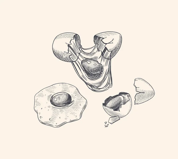 Yumurta ve yumurta sarısı, omlet, kabuk ve çiftlik ürünü. Oymalı el çizimi, klasik bir eskiz. Ahşap kesim. Menü veya poster için vektör illüstrasyonu. — Stok Vektör