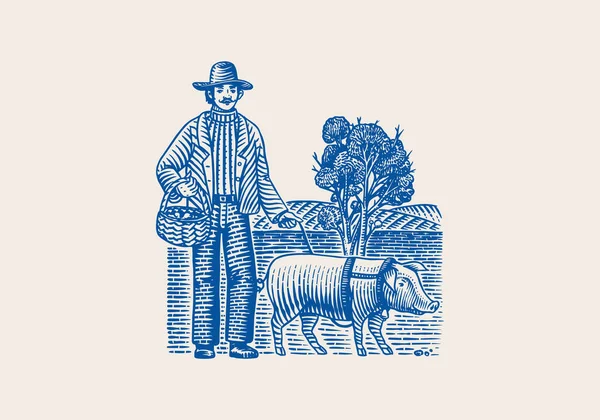 Porco e agricultor para localizar trufas cogumelos. Porco doméstico. Gravado mão desenhado esboço vintage. Estilo Woodcut. Ilustração vetorial. — Vetor de Stock