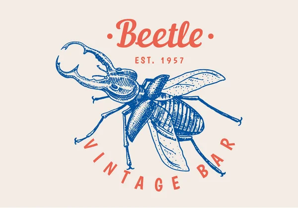 Insectenlogo. Vintage Bug Beetle label voor bar of tattoo studio. Emblemen badges, t-shirt typografie. Gegraveerde vectorafbeelding. — Stockvector