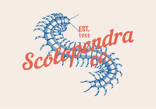 Логотип насекомых. Винтажный лейбл Scolopendra для бара или тату-студии. Значки с эмблемами, типографика футболок. Гравированная векторная иллюстрация. — стоковый вектор