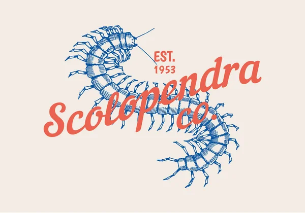 Logo dell'insetto. Etichetta vintage Scolopendra per bar o tattoo studio. Distintivi emblematici, tipografia delle magliette. Illustrazione vettoriale incisa. — Vettoriale Stock