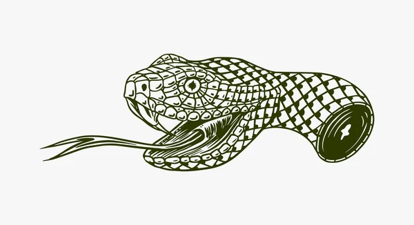 Отрезанная голова змеи для татуировки или наклейки. Рисунок гравировкой руки. Векторная иллюстрация. Винтажный старый монохромный эскиз. — стоковый вектор